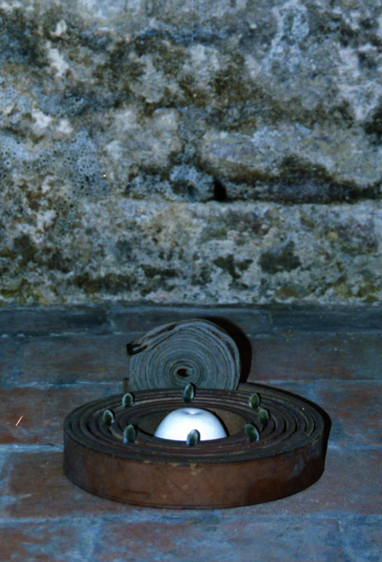 Expo 12